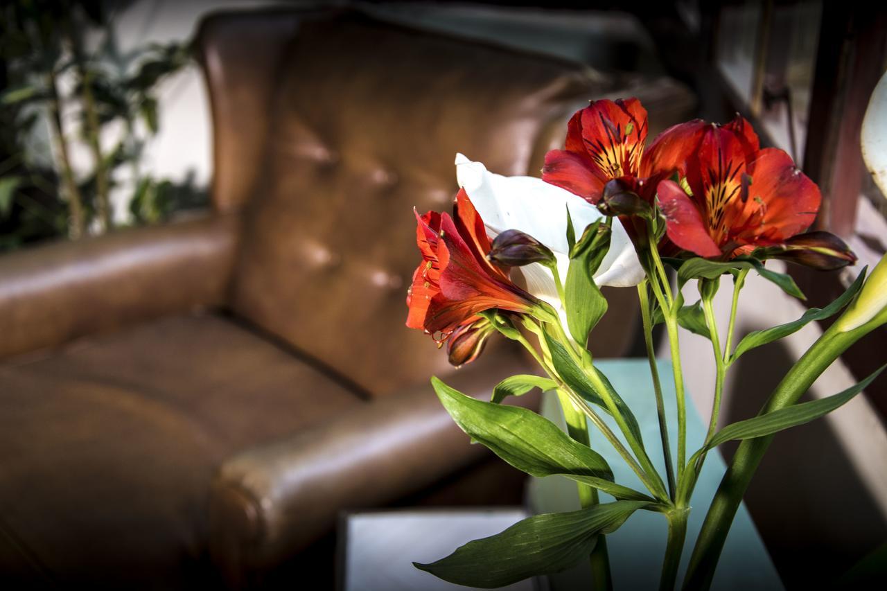 York Vintage Bed & Breakfast La Paz Ngoại thất bức ảnh